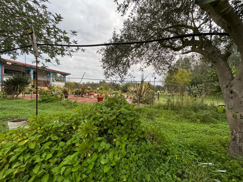 Stanco del caos cittadino? È il momento di riscoprire il valore del tempo e la bellezza di una vi...