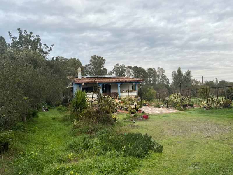 Stanco del caos cittadino? È il momento di riscoprire il valore del tempo e la bellezza di una vi...