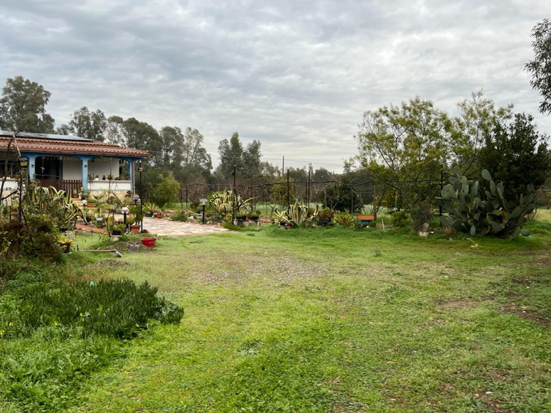 Stanco del caos cittadino? È il momento di riscoprire il valore del tempo e la bellezza di una vi...