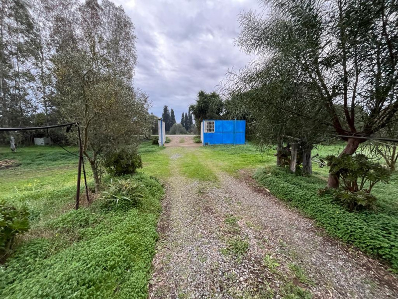 Stanco del caos cittadino? È il momento di riscoprire il valore del tempo e la bellezza di una vi...