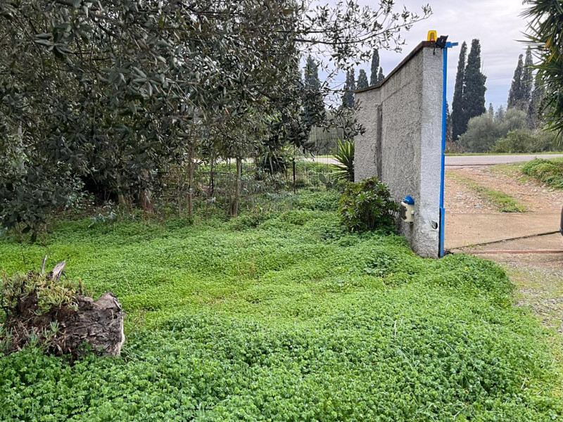 Stanco del caos cittadino? È il momento di riscoprire il valore del tempo e la bellezza di una vi...