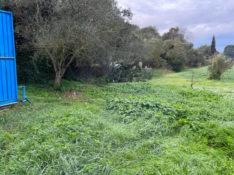 Stanco del caos cittadino? È il momento di riscoprire il valore del tempo e la bellezza di una vi...