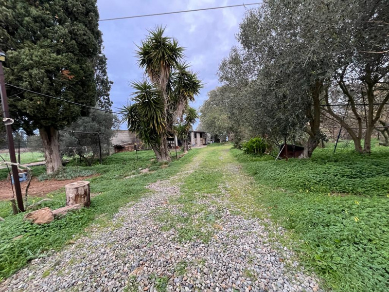 Stanco del caos cittadino? È il momento di riscoprire il valore del tempo e la bellezza di una vi...