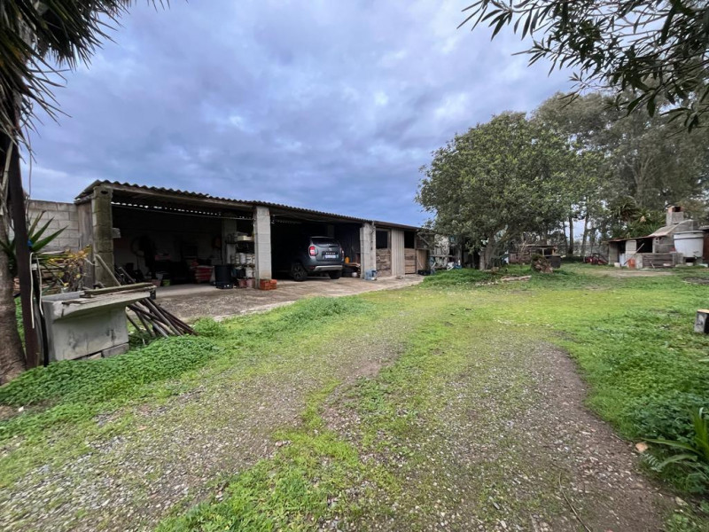 Stanco del caos cittadino? È il momento di riscoprire il valore del tempo e la bellezza di una vi...