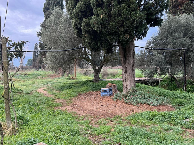 Stanco del caos cittadino? È il momento di riscoprire il valore del tempo e la bellezza di una vi...