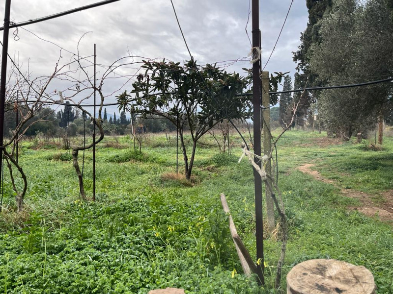 Stanco del caos cittadino? È il momento di riscoprire il valore del tempo e la bellezza di una vi...