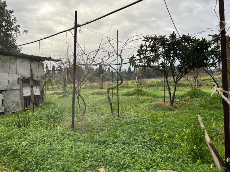 Stanco del caos cittadino? È il momento di riscoprire il valore del tempo e la bellezza di una vi...