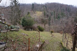 VALLI DEL PASUBIO (VI) VIA GISBENTI 10 - Piena proprietà di compendio formato da abitazione su tr...