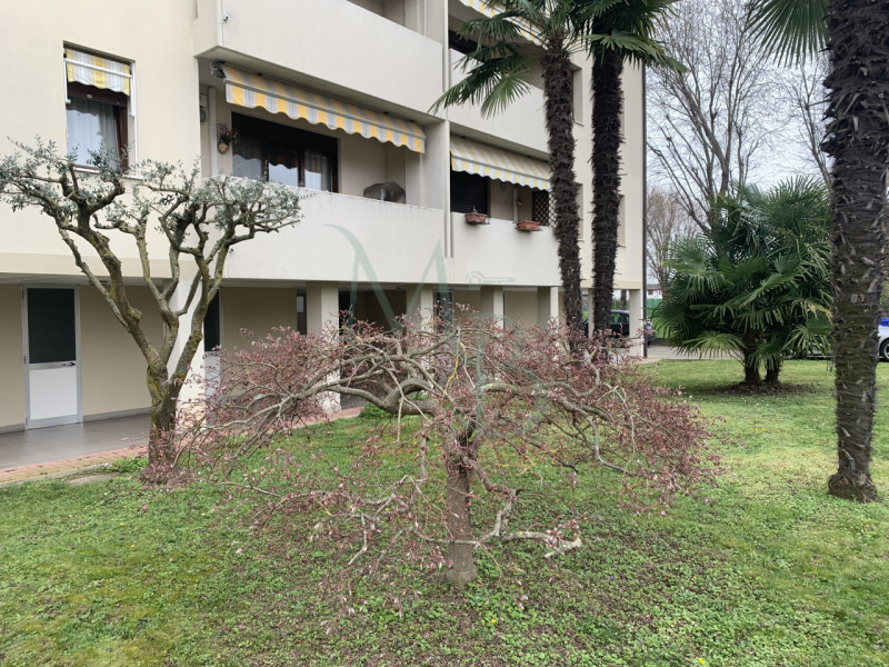 Saonara località Villatora, Immobiliare MB, propone in vendita, in esclusiva, appartamento con un...