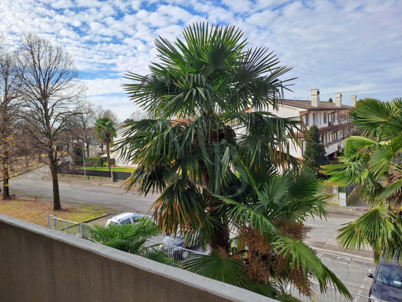 Saonara località Villatora, Immobiliare MB, propone in vendita, in esclusiva, appartamento con un...