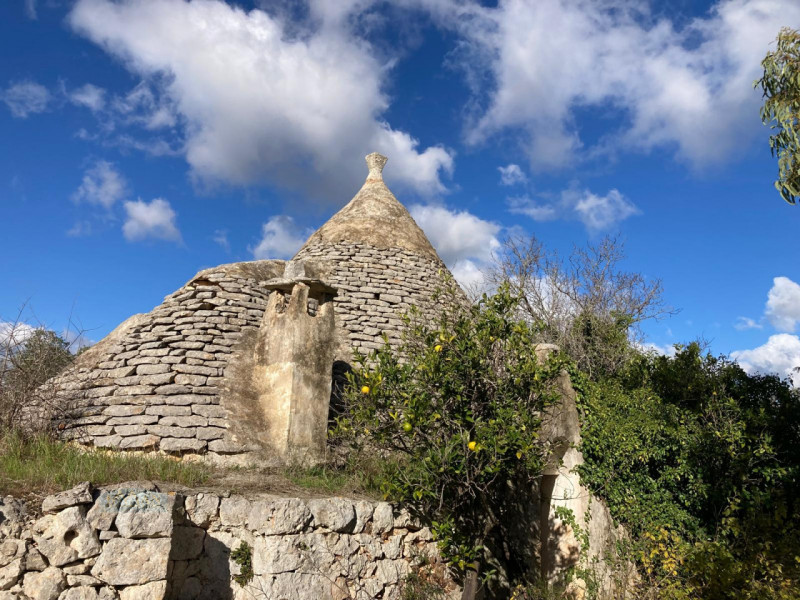 Rustici e casali in Vendita a Ceglie Messapica