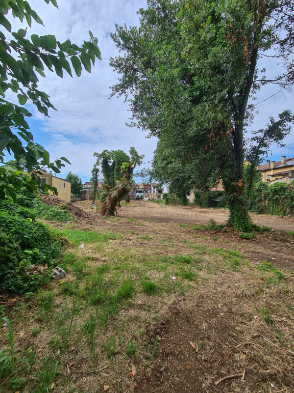 A Lonigo, nel cuore del paese, offriamo un'opportunità unica per investitori e sviluppatori:

un ...