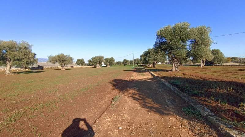 immagine annuncio 5 di 13