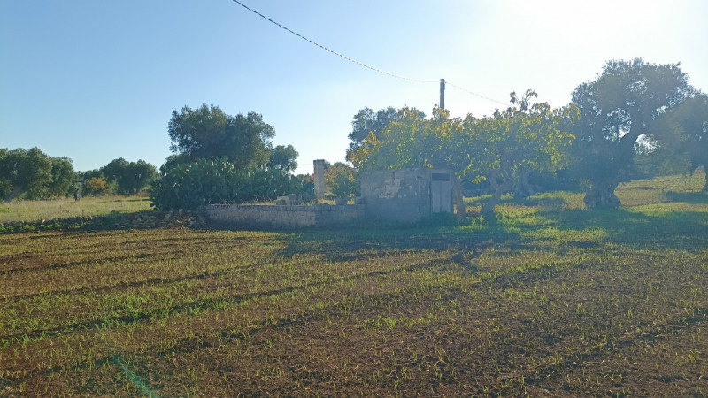 immagine annuncio 8 di 13