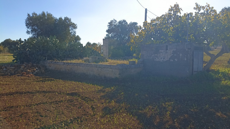 immagine annuncio 9 di 13