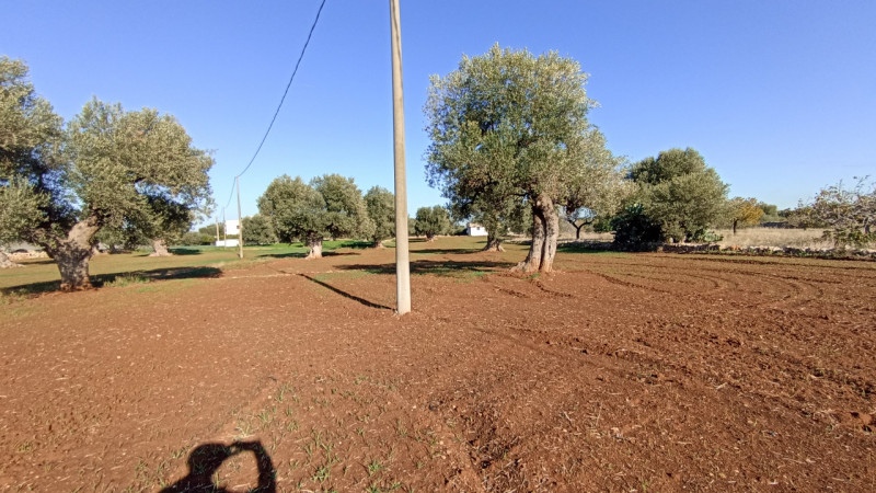 immagine annuncio 10 di 13