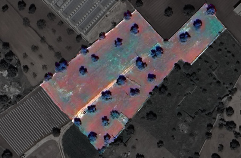 immagine annuncio 12 di 13