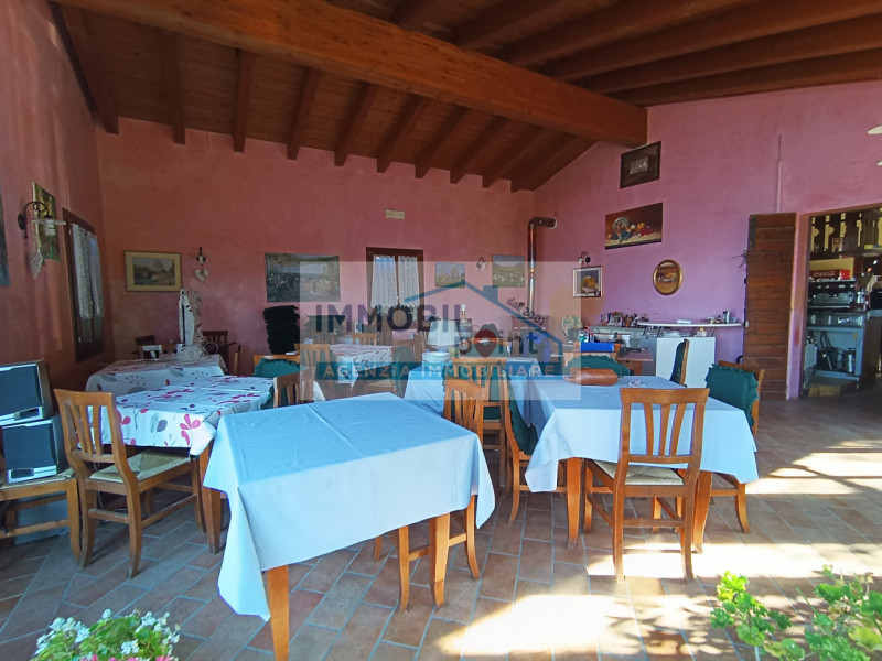 Nelle vicinanze di Torreglia, incastonata nella splendida cornice del Monte Lonzina, vi proponiam...