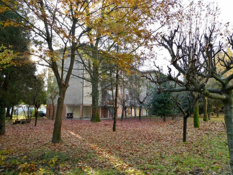 VICENZA - ZONA LAGHETTO: BEL TRICAMERE ULTIMO PIANO CON ASCENSORE E GARAGE - Rif. 8199
Proponiamo...