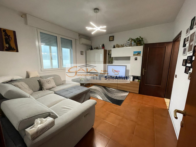 Case, Appartamenti, Ville, Attici, Loft in Vendita a Campagna Lupia