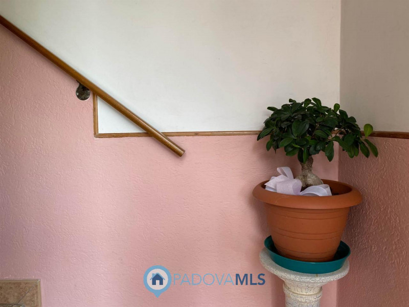 Immobile in esclusiva al Gruppo Padova MLS.
Ottima casa singola con terreno agricolo di oltre mq....