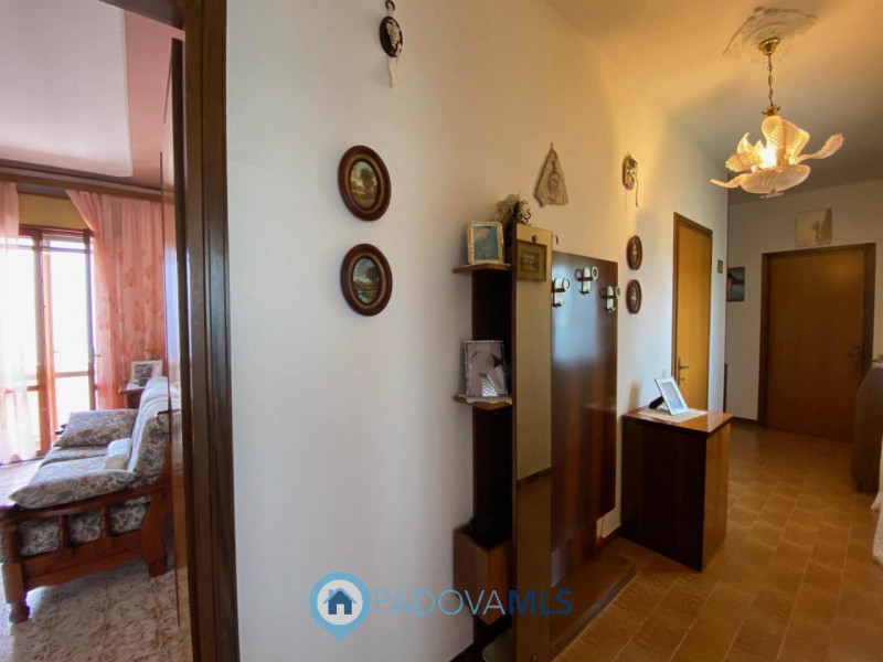 Immobile in esclusiva al Gruppo Padova MLS.
Ottima casa singola con terreno agricolo di oltre mq....