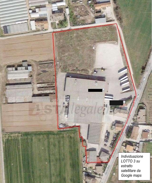 Villafranca di Verona Vendita Terreno terreno agricolo/coltura