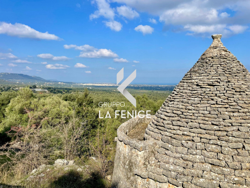Rustici e casali in Vendita a Fasano