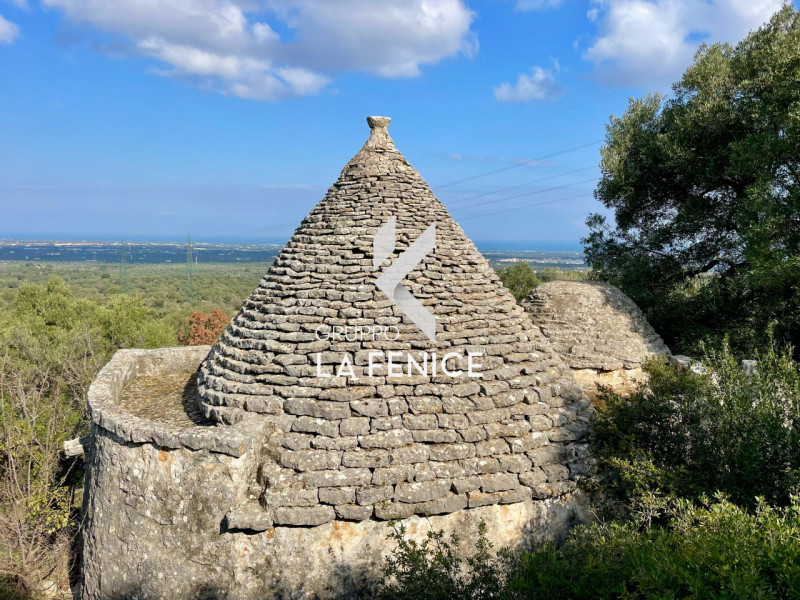 Rustici e casali in Vendita a Fasano