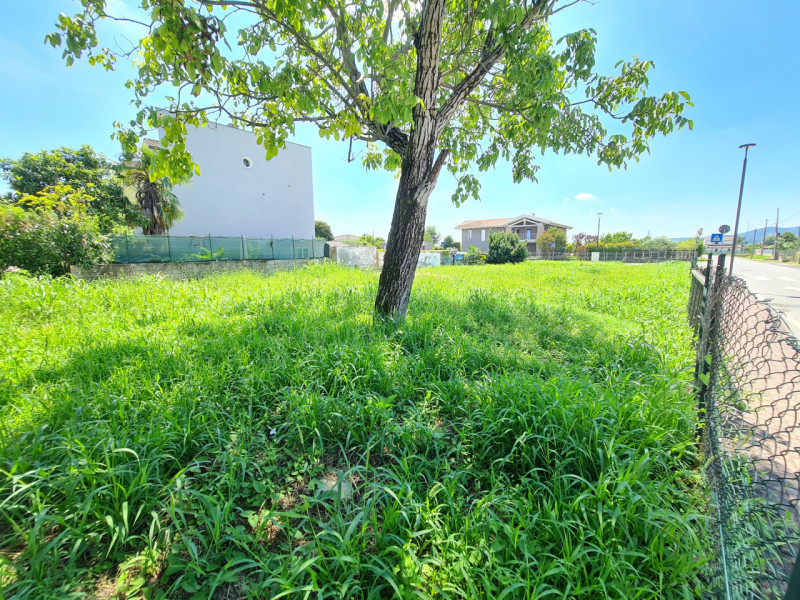 State cercando un lotto di terreno di ampie dimensioni dove poter realizzare la casa dei vostri s...