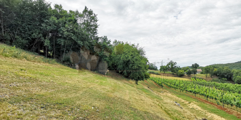 In posizione collinare, immerso nella natura proponiamo un lotto di terreno edificabile residenzi...