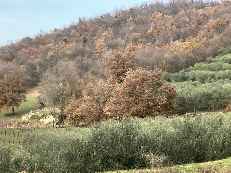 In posizione collinare, immerso nella natura proponiamo un lotto di terreno edificabile residenzi...