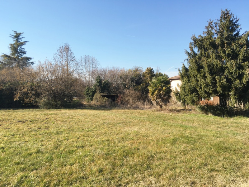 Villa del Conte Vendita Terreno terreno edificabile residenziale