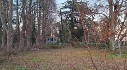 Mogliano Veneto Vendita Terreno di interesse paesaggistico