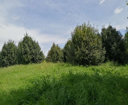 Rif. A.A.248-232

Vendita all'asta - terreno adibito ad area verde in data 28 gennaio 2026

Descr...