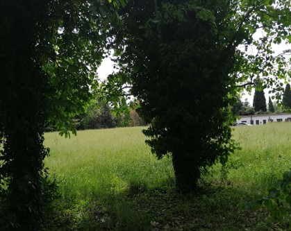 Rif. A.A.248-232

Vendita all'asta - terreno adibito ad area verde in data 28 gennaio 2026

Descr...