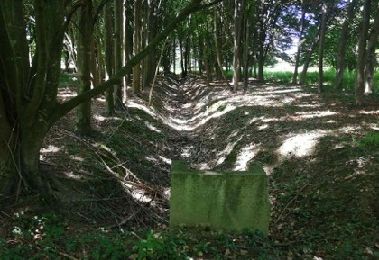 Rif. A.A.248-233

Vendita all'asta - terreno adibito ad area verde in data 28 gennaio 2026

Descr...