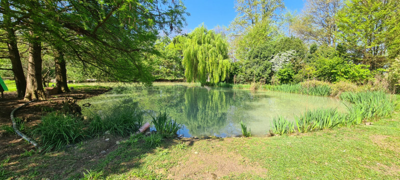 (Per INFO Roberto 3453195338) Scopri l'incanto di questa proprietà unica nella zona di Riese Pio ...