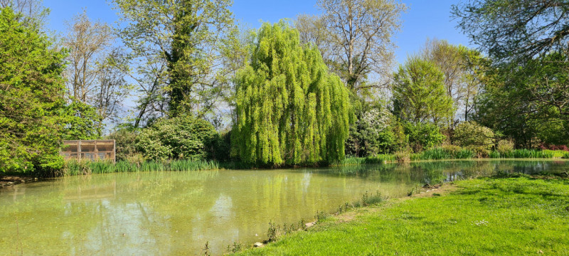 (Per INFO Roberto 3453195338) Scopri l'incanto di questa proprietà unica nella zona di Riese Pio ...
