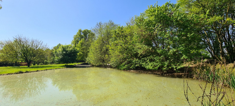 (Per INFO Roberto 3453195338) Scopri l'incanto di questa proprietà unica nella zona di Riese Pio ...