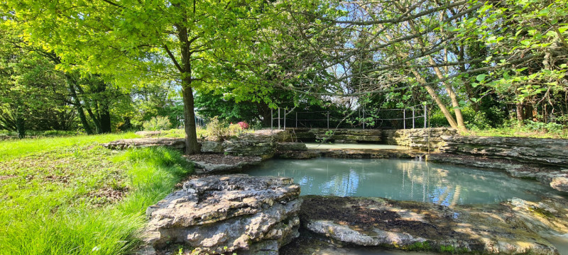 (Per INFO Roberto 3453195338) Scopri l'incanto di questa proprietà unica nella zona di Riese Pio ...