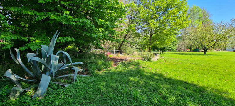 (Per INFO Roberto 3453195338) Scopri l'incanto di questa proprietà unica nella zona di Riese Pio ...