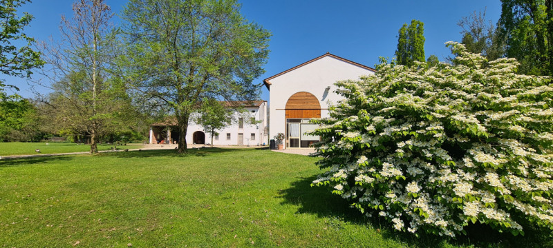 (Per INFO Roberto 3453195338) Scopri l'incanto di questa proprietà unica nella zona di Riese Pio ...