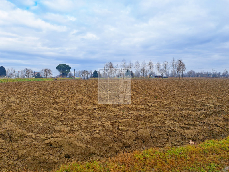 Proponiamo in vendita appezzamento di terreno REGOLARE, fronte strada.
Il terreno agricolo di cir...