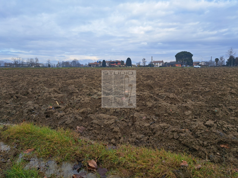 Proponiamo in vendita appezzamento di terreno REGOLARE, fronte strada.
Il terreno agricolo di cir...