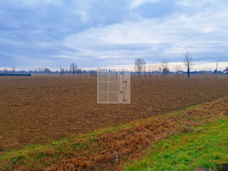 Proponiamo in vendita appezzamento di terreno REGOLARE, fronte strada.
Il terreno agricolo di cir...