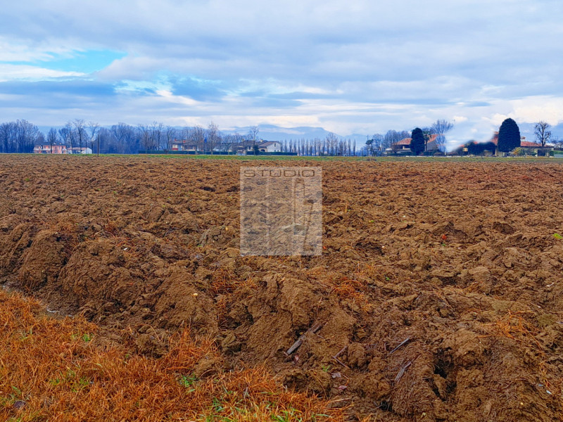 Proponiamo in vendita appezzamento di terreno REGOLARE, fronte strada.
Il terreno agricolo di cir...