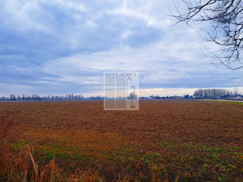 Proponiamo in vendita appezzamento di terreno REGOLARE, fronte strada.
Il terreno agricolo di cir...