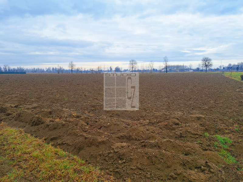 Proponiamo in vendita appezzamento di terreno REGOLARE, fronte strada.
Il terreno agricolo di cir...