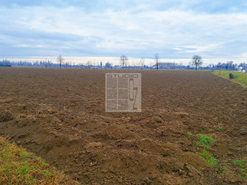 Proponiamo in vendita appezzamento di terreno REGOLARE, fronte strada.
Il terreno agricolo di cir...